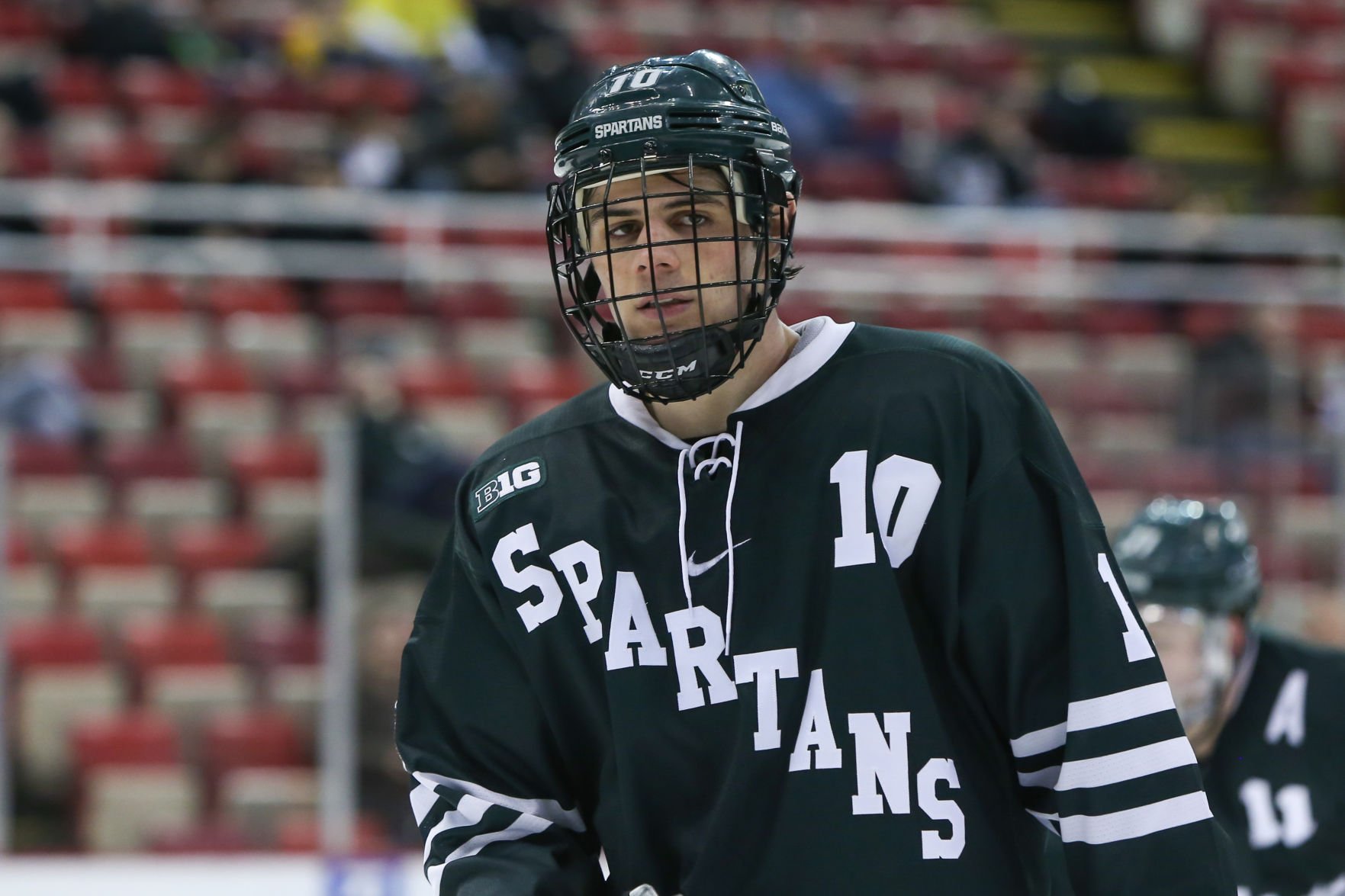 MICHIGAN STATE